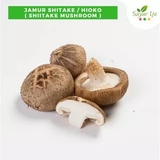 Jamur Shitake 250 Gram Fresh Grade A Jamur Hioko Shiitake Mushroom Hyoko - Sayur Ijo Segar Murah