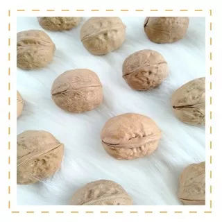 Walnut in Shell / Unshelled Raw Walnut / Kacang Walnut Utuh / Camilan Alami Hamster / Snack hamster