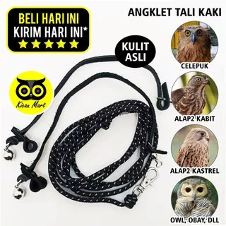 ANKLET CELEPUK TALI KAKI BURUNG HANTU ANGKLET CELEPUK ALAP ALAP KABIT KASTREL OWL BIDO ALBA ANKLET CELEPUK TALI KAKI BURUNG HANTU ANGKLET CELEPUK ALAP ALAP KABIT KASTREL OWL BIDO ALBA ANGBHS