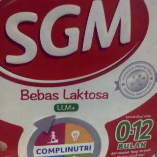 SGM @LLM