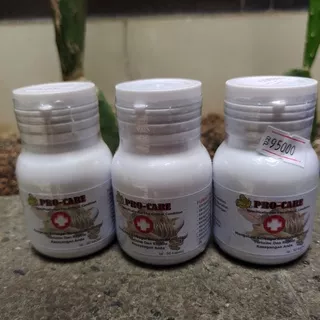 PROCARE JKK PRO ECERAN/PRO CARE OBAT VITAMIN PHENOMONIA PILEK (Perkapsul) ECER