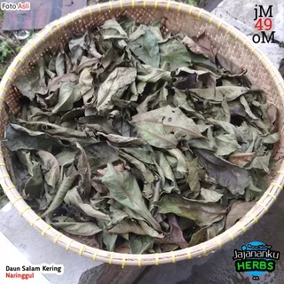 1kg Daun Salam Kering Bay Leaf Leaves Rempah Organik Panen Terbaru