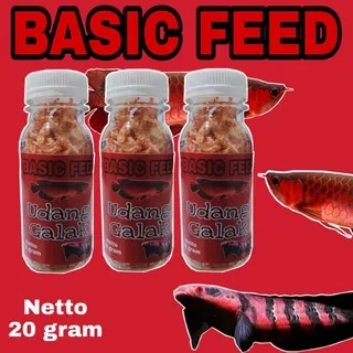 udang galak merah 20 grm | pakan ikan predator | makanan ikan channa maru red sampit
