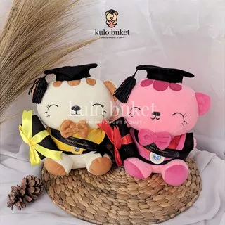 Boneka Wisuda Kucing 20 CM | Hadiah Wisuda Murah Boneka Wisuda Surabaya Boneka Wisuda Gresik