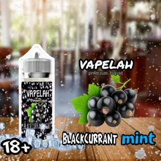 Liquid Vape blackcurrant mint premium Liquid Vape non NICOTINE LIQUID VAPE LIQUID PODS by VAPELAH