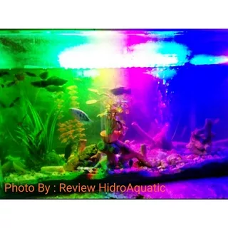 Lampu Aquarium 50cm 3 Warna RGB (red green blue) / Lampu Akuarium / Lampu celup / Lampu Led