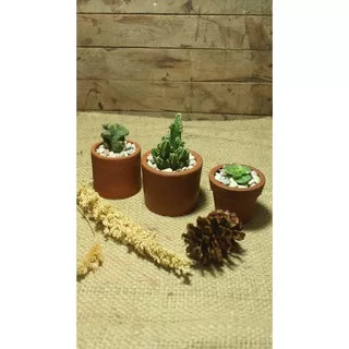 Paket tanaman hias kaktus sukulen paket pot tanah liat tanaman hidup dekorasi mini garden
