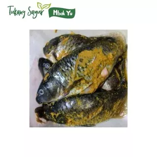 ikan mas bumbu kuning siap goreng 500gr