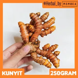 [HERBAL] 500 gram KUNYIT SEGAR KUNYIT ORGANIK Herbal Kunyit kuning kunir Curcuma longa