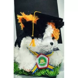 Boneka Wisuda Kucing Besar P:30cm T:25cm