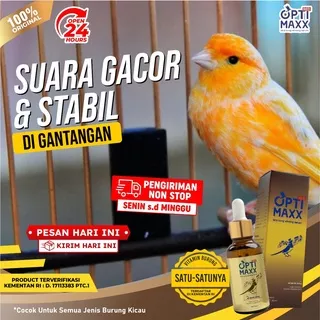 Optimaxx - Bird Song Winning Serum Suplemen Vitamin Penambah Stamina Burung Penggacor Gacor Lomba Lovebird Murai Batu Love Bird Lovebird Kenari Kacer Pleci Cucak Rowo Cucak Ijo Isi 60ml