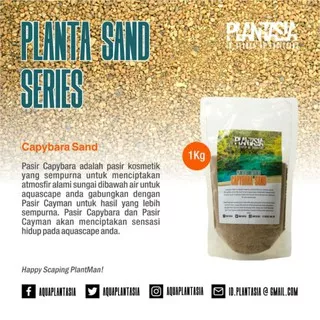 Pasir Aquascape Pasir Aquarium - Planta Sand Capybara 1 kg