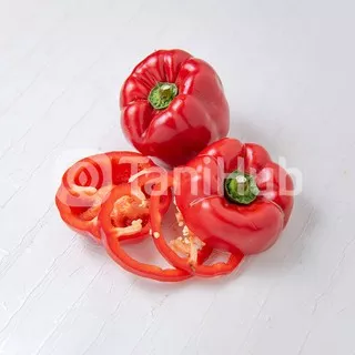 Paprika Merah Pack 500 gr