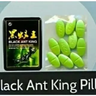 semut hitam king / semut arab / black ant king