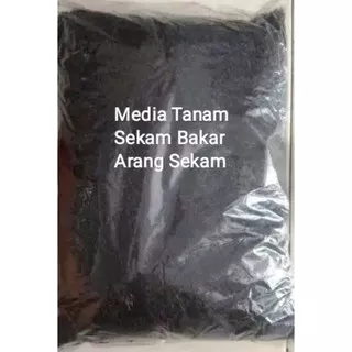 Sekam Bakar Media tanam Arang sekam