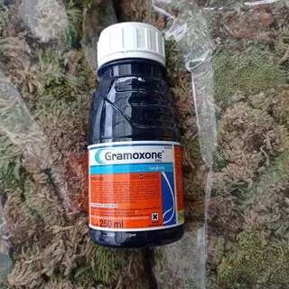 GRAMOXON 250ML PEMBASMI RUMPUT