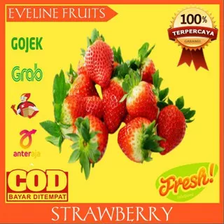 Strawberry 1 pack isi 16 buah 140 gram