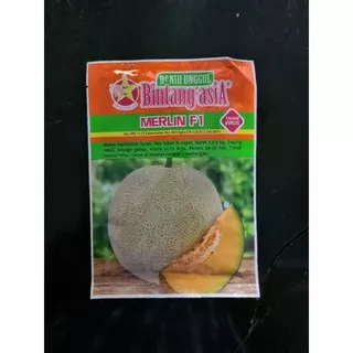 Benih Melon MERLIN F1 Tahan Virus