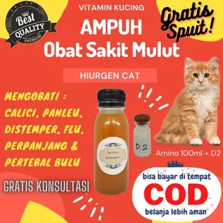 Kucing Vitamin Kucing Obat Kucing Kucing Persia Kucing Angora Obat Sariawan Kucing Obat Flu Kucing