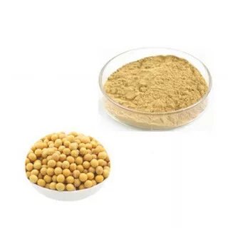 Kacang Kedelai Organik / Organic Soy Bean For Baby Untuk Mpasi Kemasan 100gr