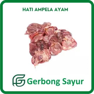 Ati Ampela Ayam - Hati Ampela Ayam Segar - 1