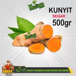 KUNYIT KONENG KUNIR SEGAR 500 GRAM HERBAL ALAMI MUTIARA ALAM