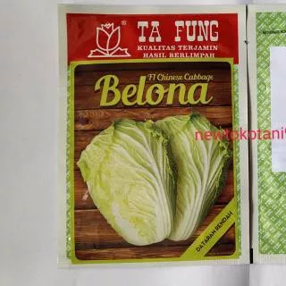 Benih kubis sawi putih BELONA F1 10 gram chinese cabbage hibrida dari tafung belona