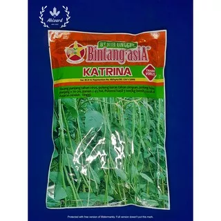 KATRINA/BENIH KACANG PANJANG/KACANG PANJANG BUNTUT MERAH/500gram