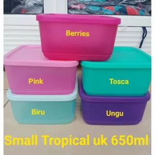 original small tropical fiesta 650ml (5) small summer fresh