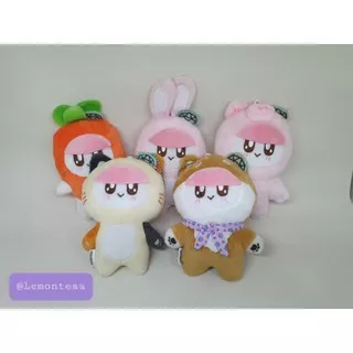 [SEVENTEEN DOLL] BONGBONG DOLL