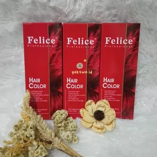 Felice Hair Color Professional / Felice Hair Colorant / Cat Rambut Felice Hair Color Felice / Mix Color Solo Color 60ml -yuktwo.id
