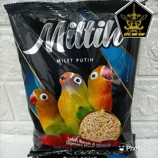 Miltih  miled putih sachet besar 400gram ebod jaya milet putih pakan burung lovebird Miltih