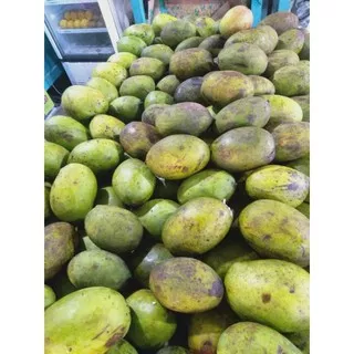 buah mangga kweni|kweni aceh|1kg|nuri fruits|buah segar bandung|buah bandung