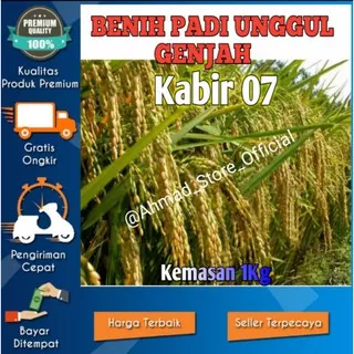 Benih Padi Kabir 07 Padi unggul Kemasan 1kg