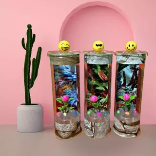 Aquarium ikan cupang/Aquarium mini/Aquarium Tabung Mika/ikan cupang/lampu emoji/Akuarium