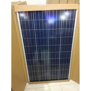 solar panel cell surya st solar stc stec module 100wp 100 wp poly 12v