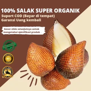 salak pondoh organik buah organik  salak pondoh super buah salak buah segar organik buah salak 500