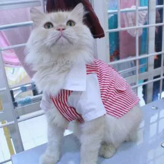 Baju kemeja tuxedo strip pink putih lucu untuk kucing dan anjing / baju kucing lucu murah size S-XL