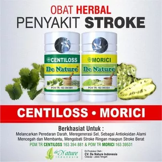 Morici Obat Stroke Setruk Hemoragik Iskemik Lepra Stroke Ringan Struk Centiloss De Nature