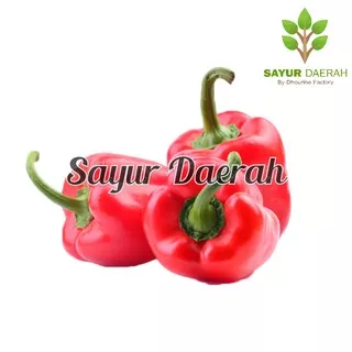 PAPRIKA MERAH 500 Gr | SAYUR DAERAH