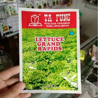 benih SELADA GRAND RAPID tafung isi 10 gram - selada hijau keriting - selada keriting - lettuce - benih selada - TAFUNG