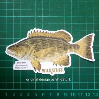 Sticker Wildstuff Black Bass Lutjanus goldiei