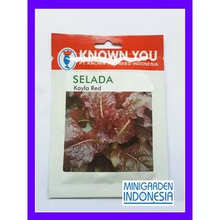 1 Pack 5 Gram Benih Selada Merah Kayla Red Known You Seed bibit tanaman sayuran hidroponik