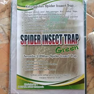 spider insect trap