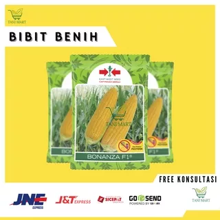 Benih Bibit Jagung Manis BONANZA F1 1.800 butir (Kemasan Original)