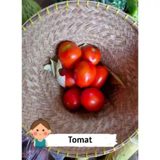 Tomat