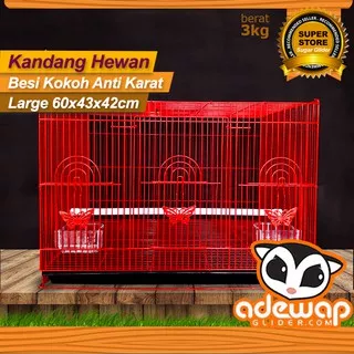 Kandang sugar glider kelinci tupai burung kenari lovebird ukuran besar L murah