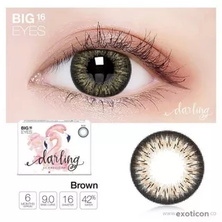 SOFTLENS X2 DARLING BROWN BIG EYES 16 MM ( BROWN MINUS 0.50 S,D -6.00 )