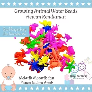 Mainan Hewan Rendaman Hewan Random Orbeez Hydrogel Warna Campur | Hidrogel Kristal Jelly|  Mainan Sensori Anak