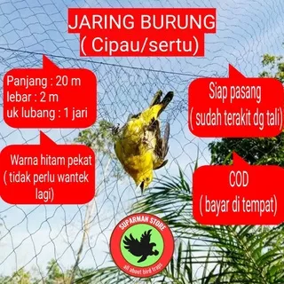 JARING BURUNG CIPAU JARING BURUNG CIPOW JARING BURUNG CIPO JARING BURUNG SERTU JARING BURUNG SIRTU